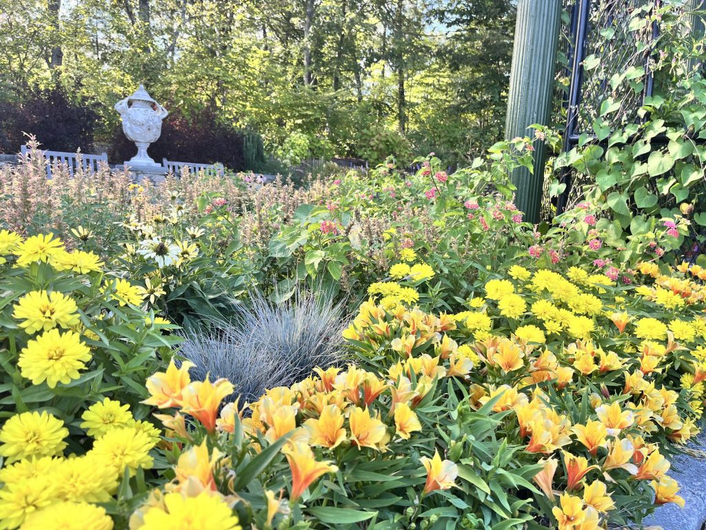 A view of Spring blooms at the New England Botanic Gardens at Tower Hill