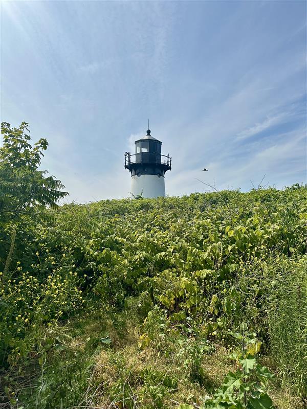 A view of Ten Pound Island Lighthouse 