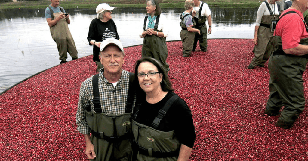 Group of people enjoying their time in a cranberry bog during the wet harvest