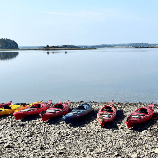 Kayaks lined up along Castle Neck Riber on the Crane Estate in Ipswich, Massachusetts