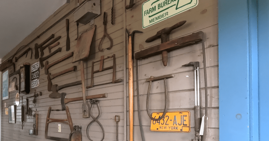 Antique cranberry harvest tools on display