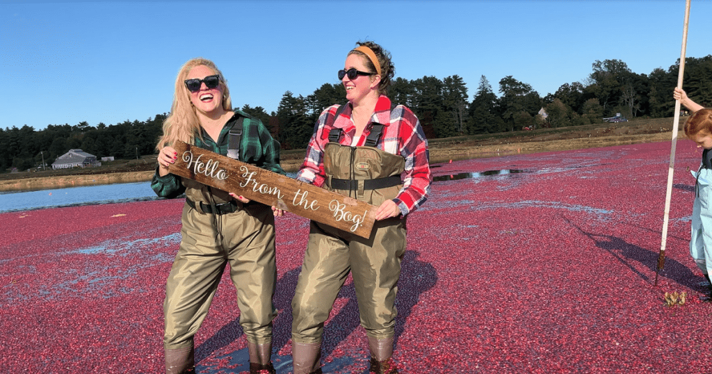 Women laughing and enjoying their cranberry bog adventure in Massachusetts