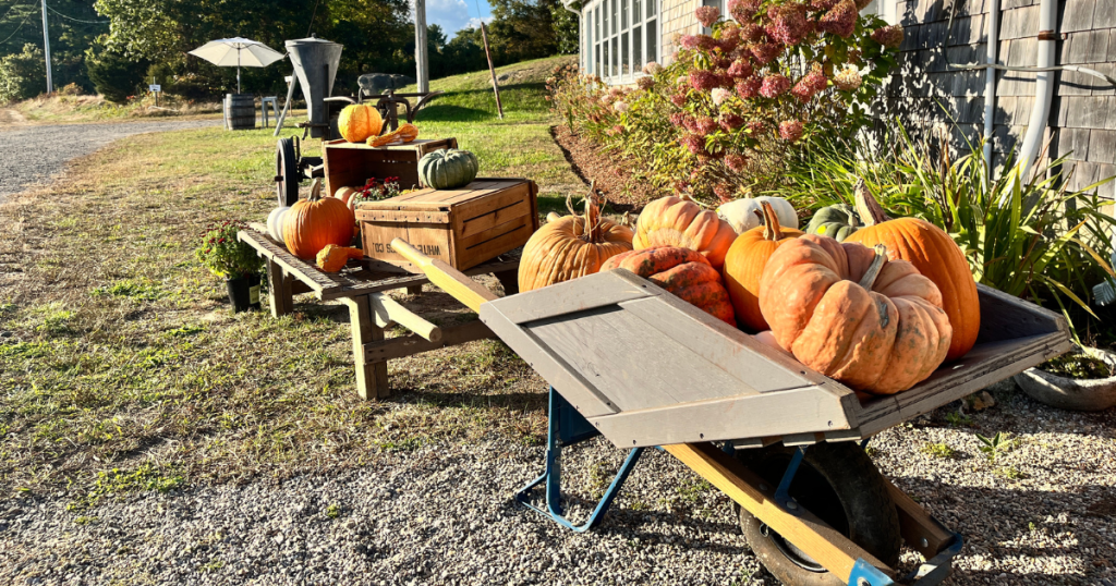 Pumpkins, gourds, and other fall decor on a fall day in Massachusetts.
