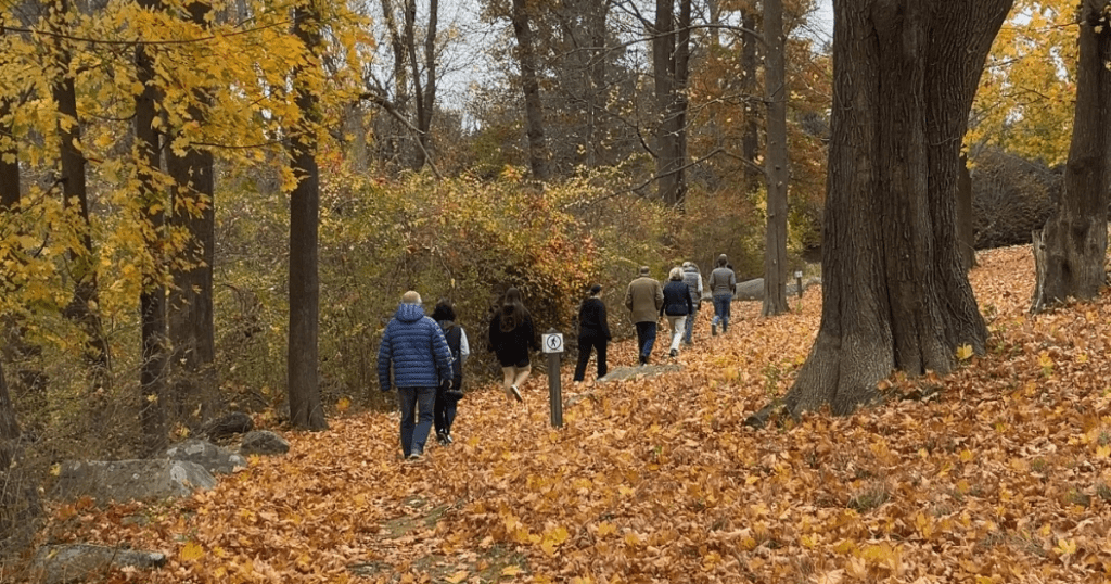 Group walking a trail surrounded by colorful autumn leaves on the Crane Estate in Ipswich, Massachusetts.