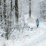 Snowy trail at Blue Hills Reservation, a popular winter hike near Boston accessible by the MBTA Commuter Rail.