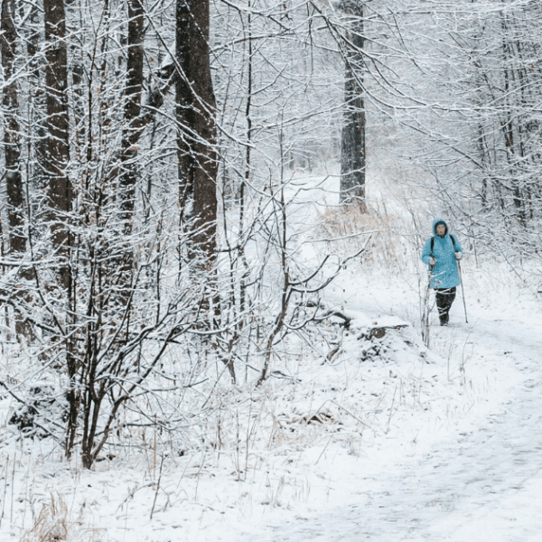 Snowy trail at Blue Hills Reservation, a popular winter hike near Boston accessible by the MBTA Commuter Rail.