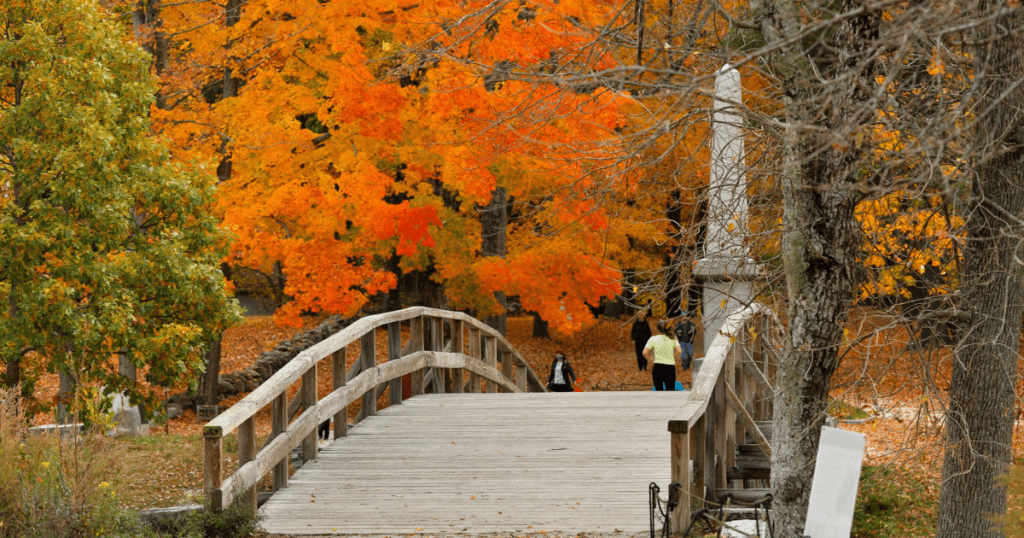 Festive fall foliage providing picturesque trick-or-treating on Halloween in Concord, MA