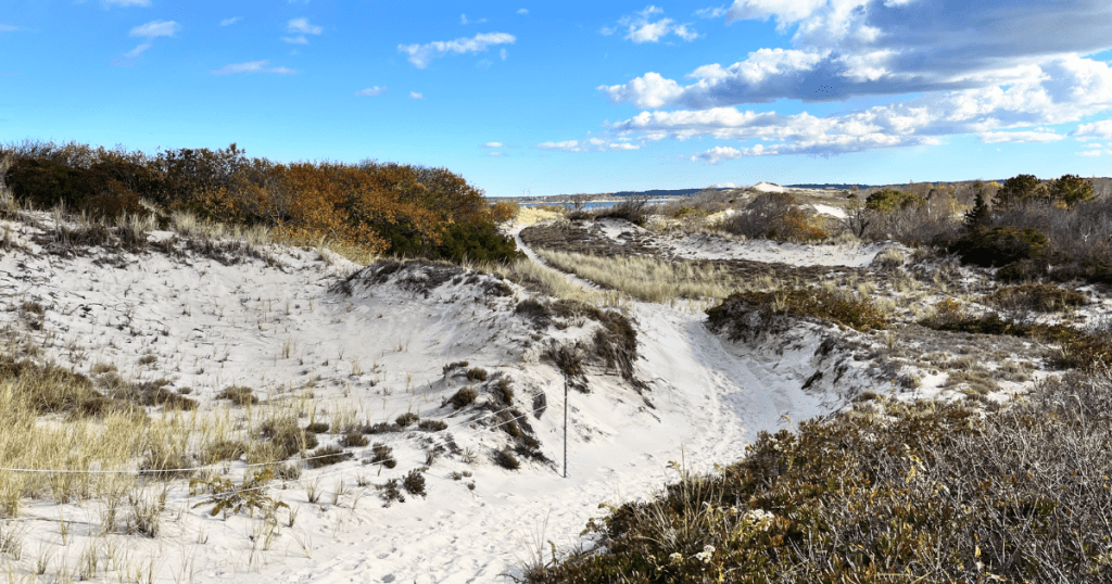 looking down the sandy dunes path on a bright day beneath blue skies in the dunes of Castle Neck in Ipswich, MA]