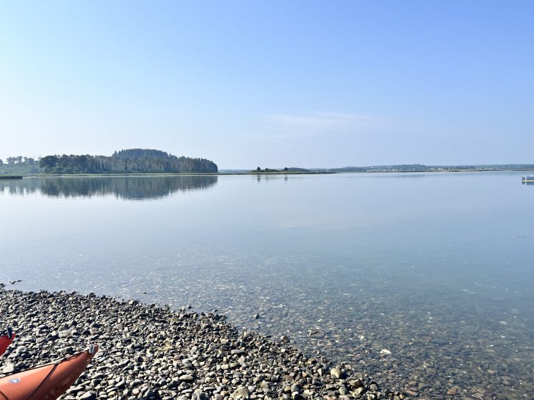 Crane-Estate-Kayaking-IMG_2863-scaled