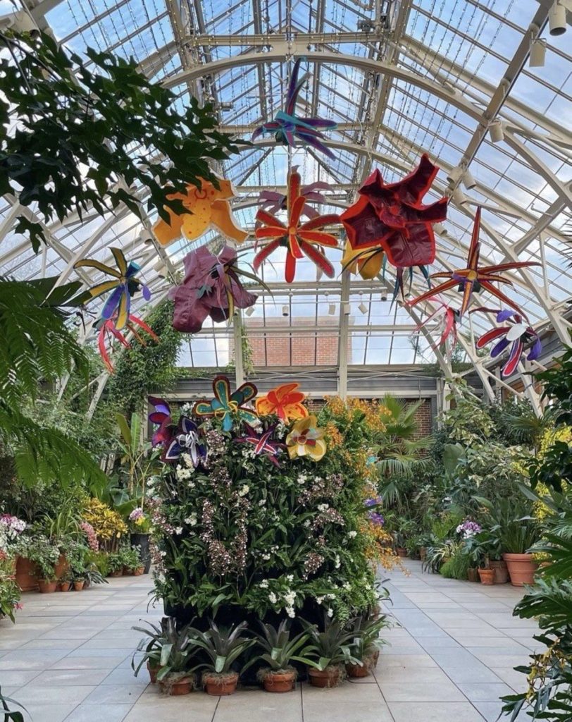 Glass sculptures inside a greenhouse at the NE Botanic Gardens at Tower Hill 