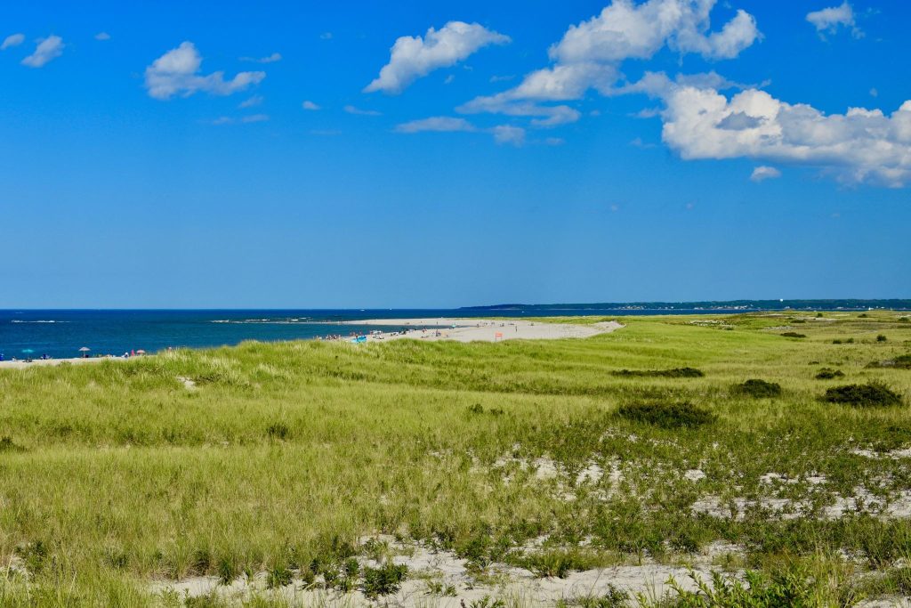  grassy views of Crane Beach wildlife refuge in Ipswich, MA 