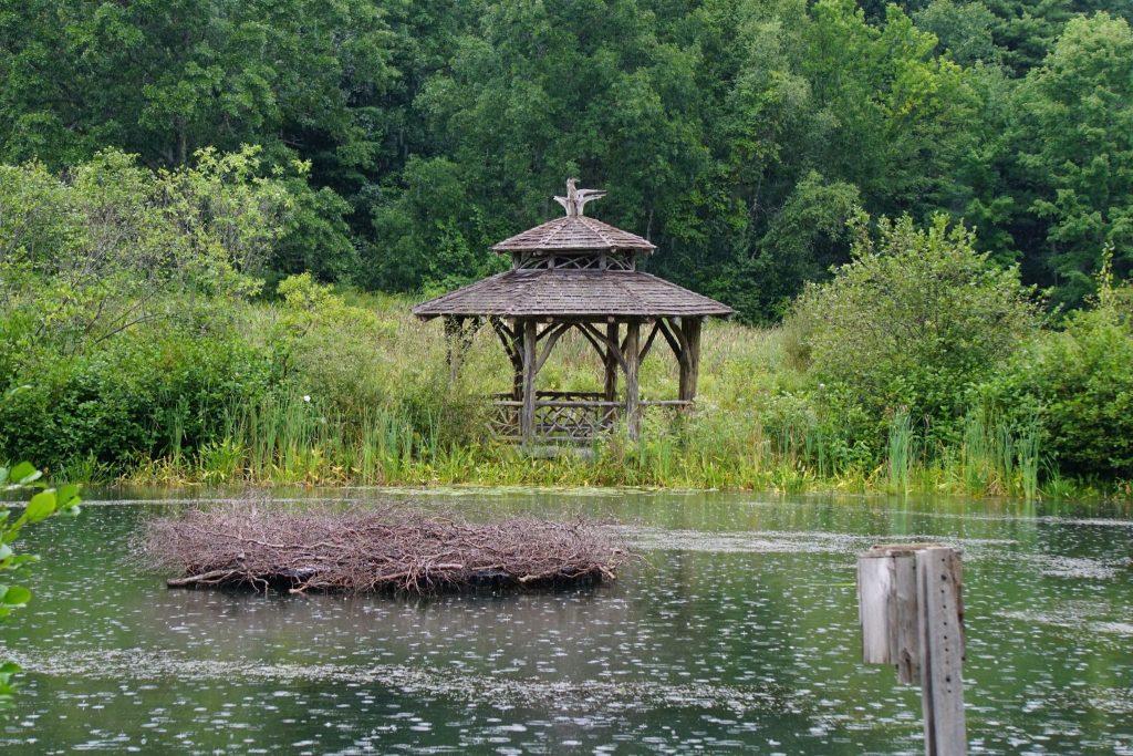 Gazebo across the pond at the New England Botanic Gardens in Boylston, MA