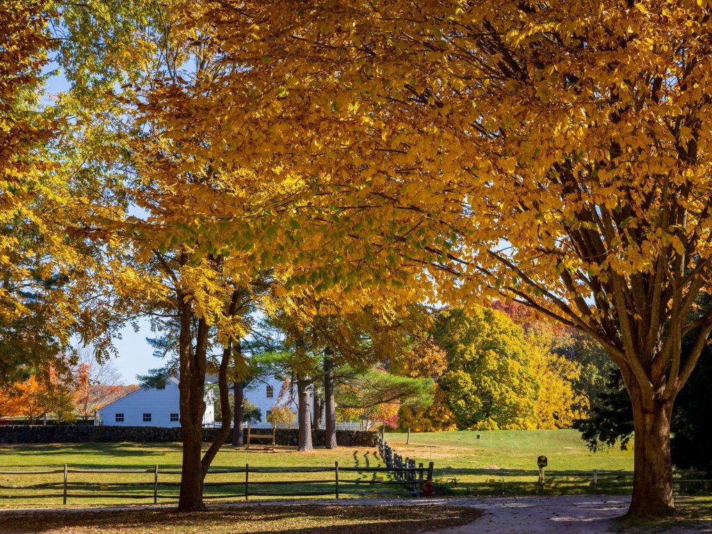  Fall Foliage at Appleton Farms in Ipswich, MA on a quiet October Day