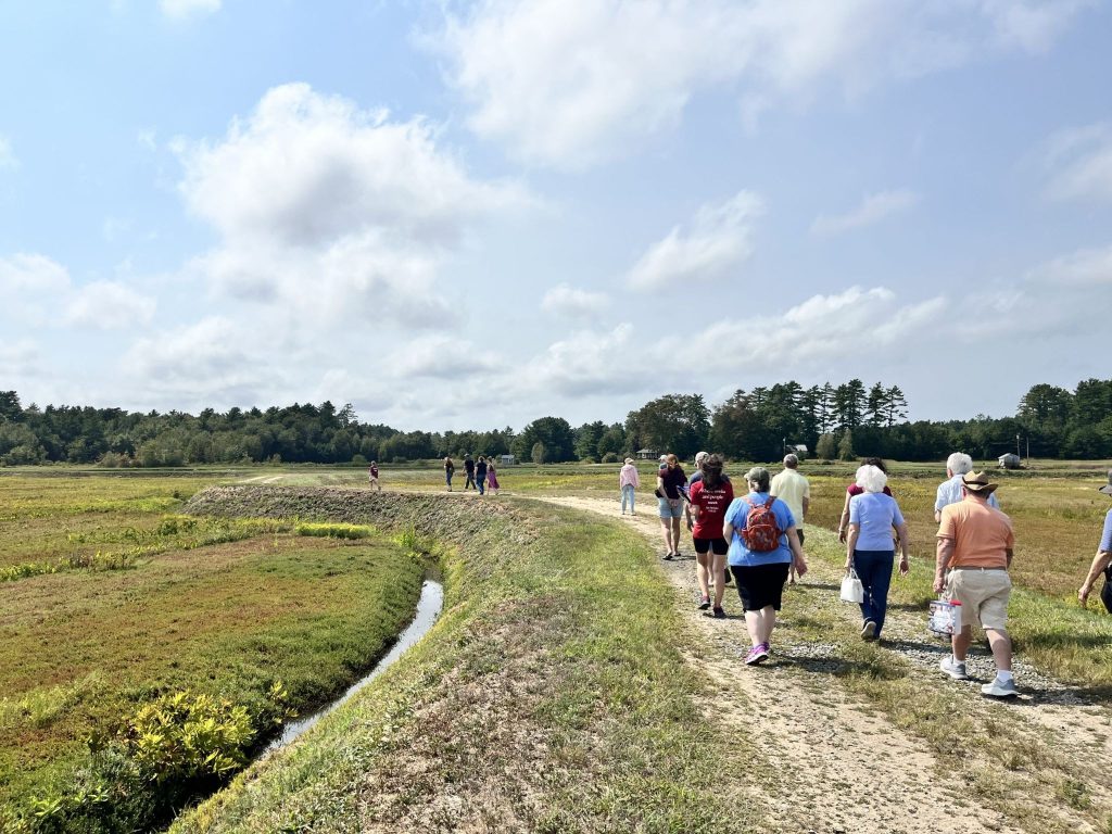 A tour group walking along the bogs at Benson’s Pond in Middleboro, MA